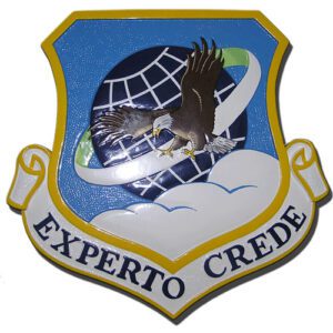 USAF 89th Airlift Wing Emblem
