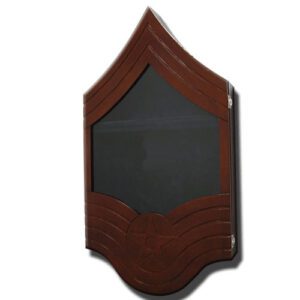 E-9 Senior Master Sergeant Shadow Box