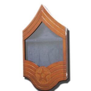 U.S. Air Force E9 Shadow Box