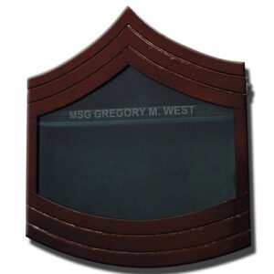 Master Sergeant Major E-8 Shadow Box