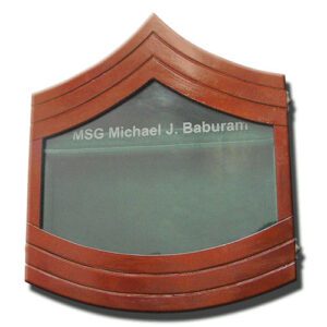 U.S. Army E-8 Shadow Box