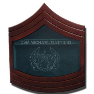 Staff Sergeant Major E-9 Shadow Box