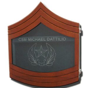 U.S. Army E-9 Shadow Box