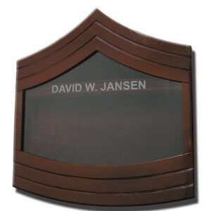 E-8 Master Sergeant Shadow Box